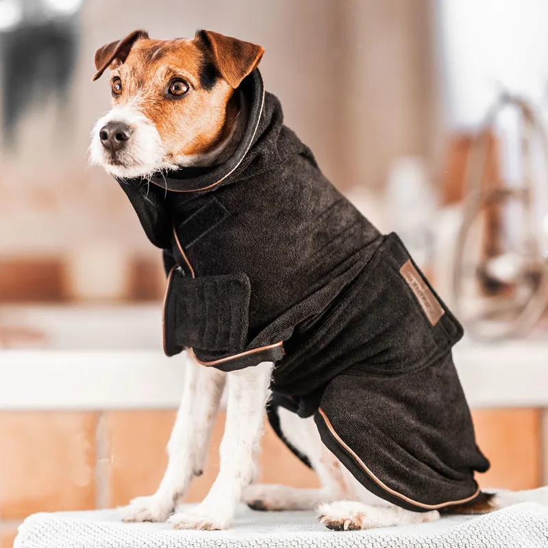 Kentucky Dog Coat Towel - Black