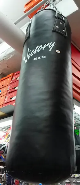 VIctory Punching Bag -